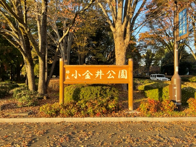 Metropolitan-Koganei-Park