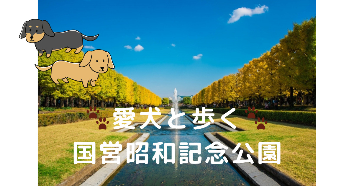 Walking-with-your-dog-at-Showa-Kinen-Park