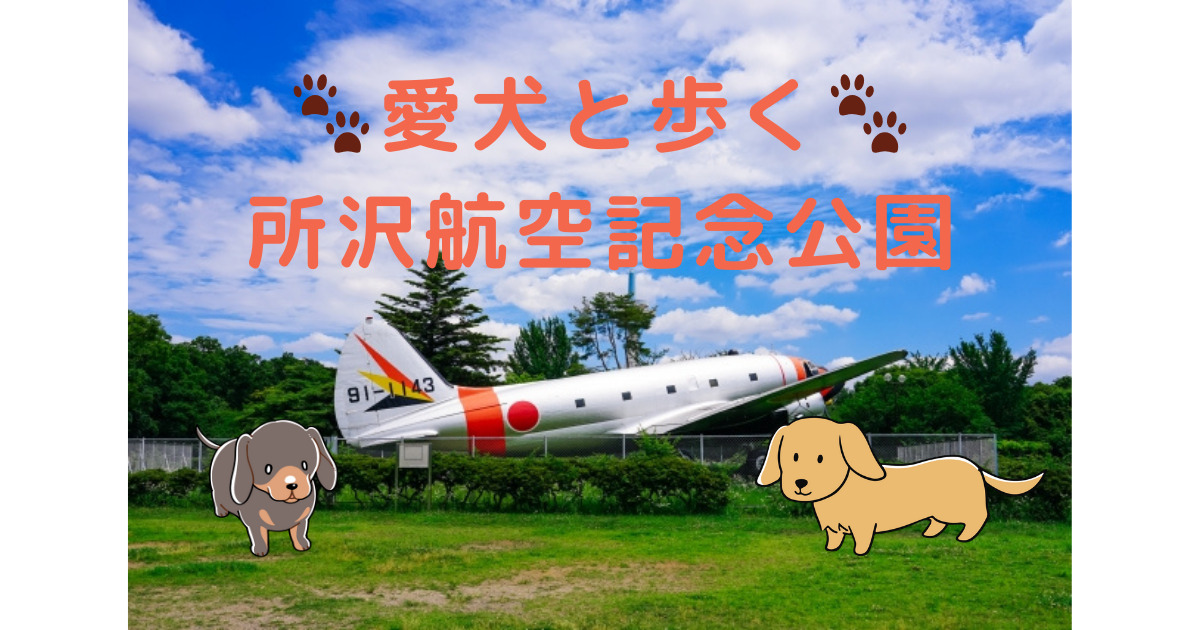 Walking-with-your-dog-at-Tokorozawa-Aviation-Memorial-Park