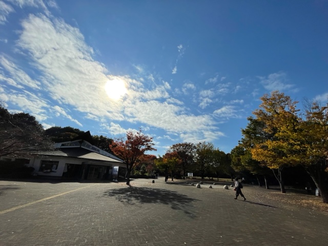 West-Tokyo-Ikoinomori-Park