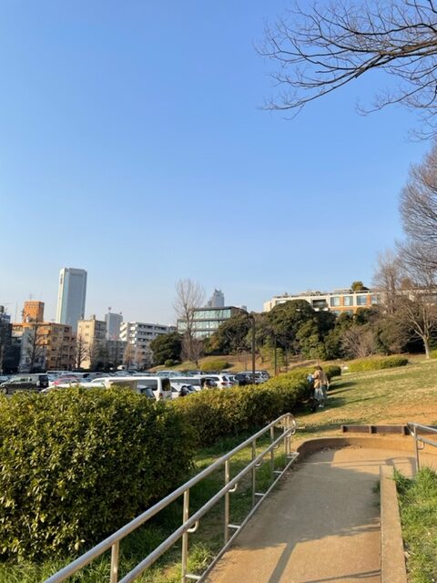 東京都 ダックスフンドと歩く 代々木公園 さんぽ ダックスフンド多頭飼い奮闘記