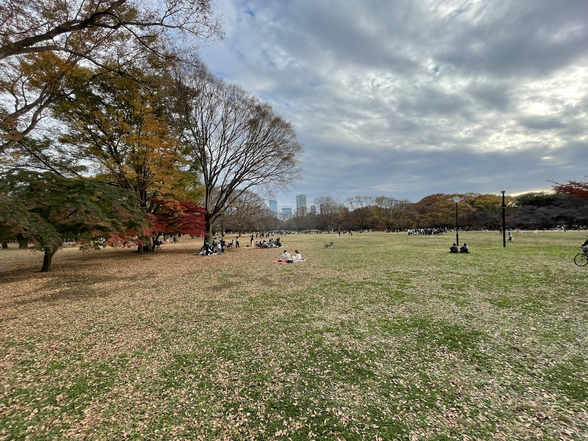 Yoyogi-park